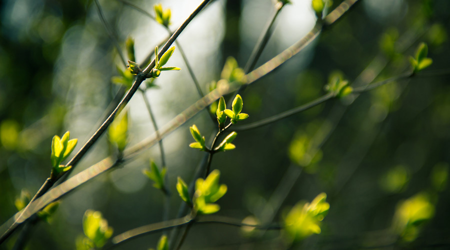 體重管理對香港人的重要性：健康生活從控制BMI開始