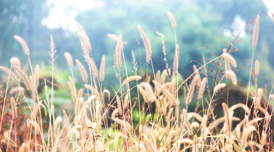 維秀美 (Wegovy) 香港官方網站 | 助您安全、有效管理體重